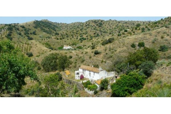 worten plantar 900 rboles en espaa y portugal gracias a la colaboracin de sus clientes worten plantar 900 rboles en espaa y portugal gracias a la colaboracin de sus clientes