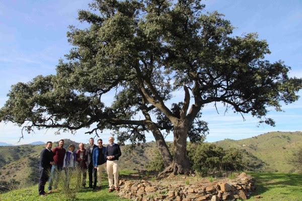 worten participa en la reforestacin de la reserva ecolgica hacienda de mellado worten participa en la reforestacin de la reserva ecolgica hacienda de mellado