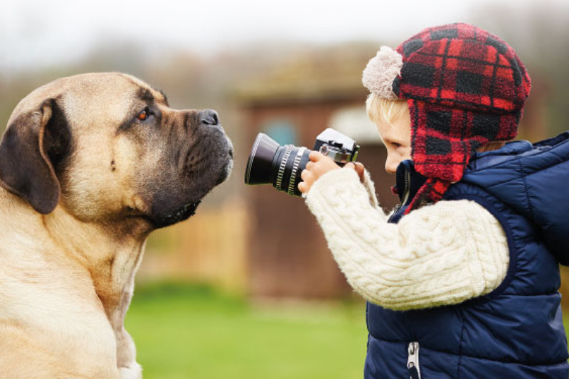 2018 el ao negro para el sector de la fotografa 2018 el ao negro para el sector de la fotografa