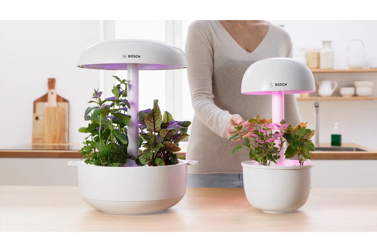smartgrow de bosch electrodomsticos el huerto domstico para la cocina smartgrow de bosch electrodomsticos el huerto domstico para la cocina