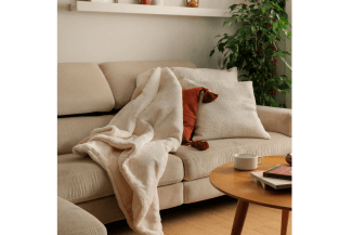 Daga te invita a reconectar con tu hogar desde el descanso y la calidez