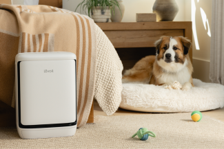 Levoit presenta Vital® Pet Pro, un purificador de aire inteligente diseñado para hogares con mascotas