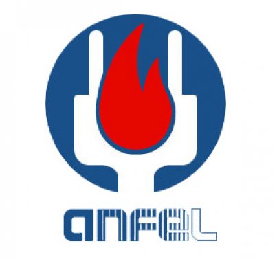 anfel denuncia a 12 empresas por incumplimiento de la legislacin de residuos anfel denuncia a 12 empresas por incumplimiento de la legislacin de residuos