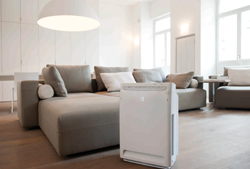 daikin ayuda a afrontar una primavera de alto riesgo para los alrgicos daikin ayuda a afrontar una primavera de alto riesgo para los alrgicos