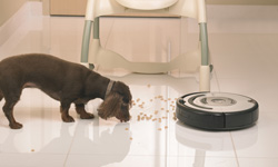 irobot inventa un nuevo aspirador para hogares con mascotas irobot inventa un nuevo aspirador para hogares con mascotas