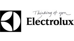 electrolux es premiada por las mejores prcticas en recursos humanos de 2012 electrolux es premiada por las mejores prcticas en recursos humanos de 2012