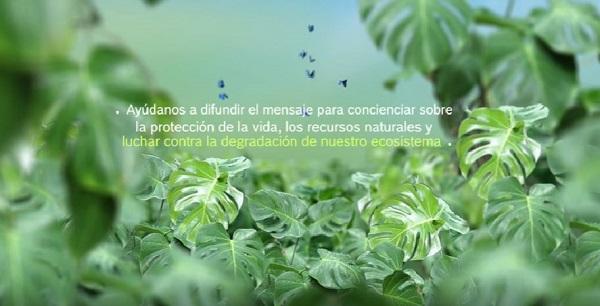 junkers se une a la celebracioacuten del diacutea del medioambiente y anima a combatir el cambio climaacutetico junkers se une a la celebracioacuten del diacutea del medioambiente y anima a combatir el cambio climaacutetico